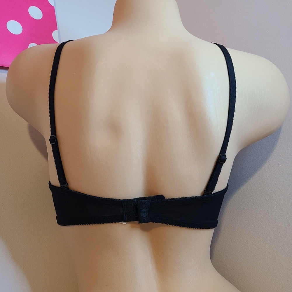 VTG Gilligan & O'Malley Beautiful Embroidered Demi Bra Size 34B - Picture 3 of 6